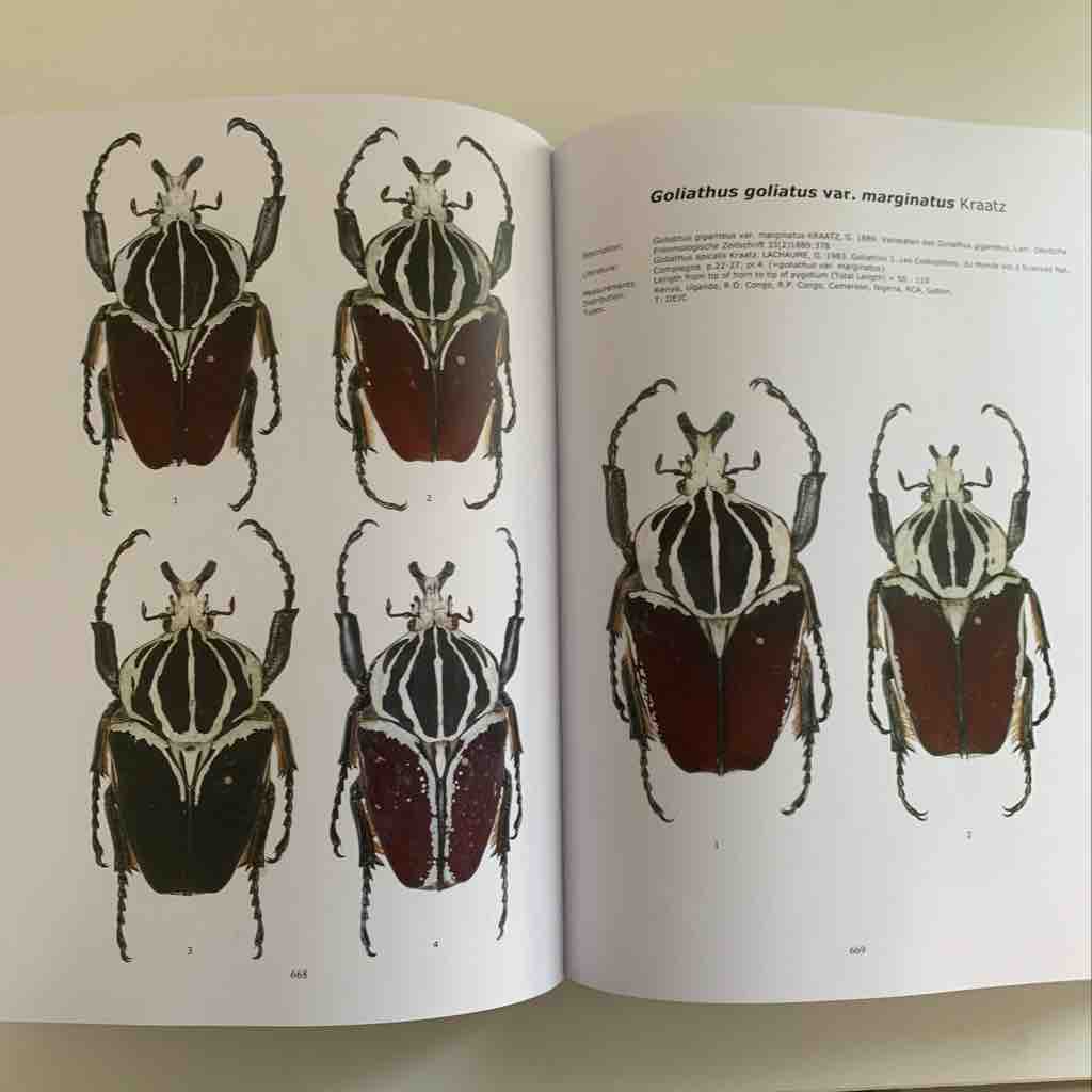 Pin page
