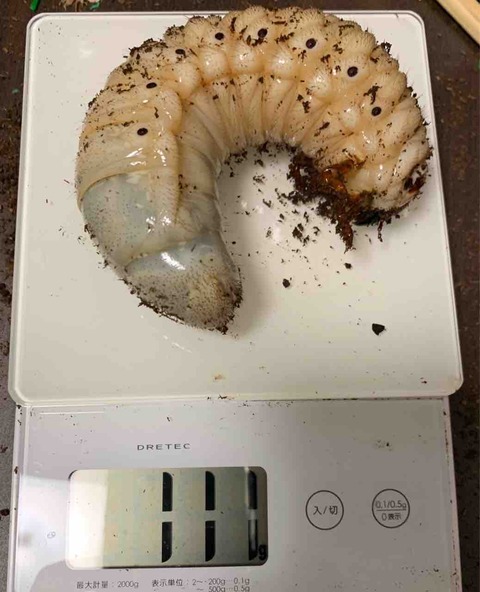 FullSizeRender