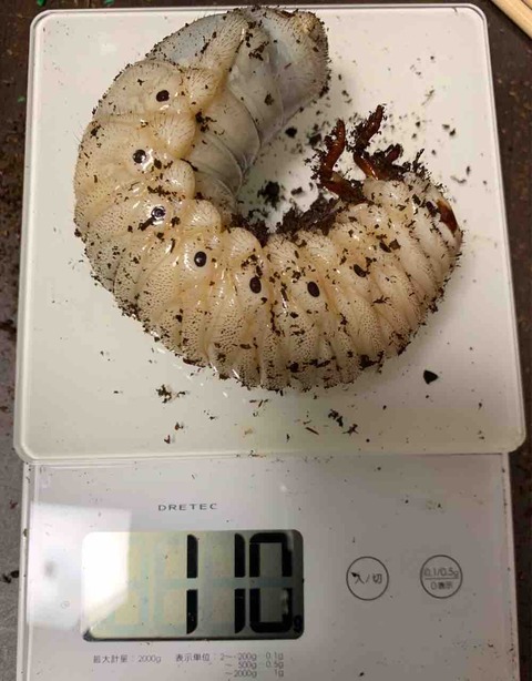 FullSizeRender