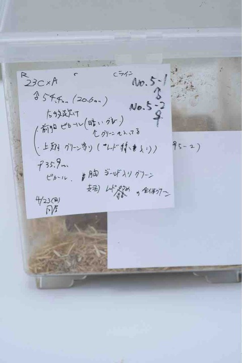 DSC03411