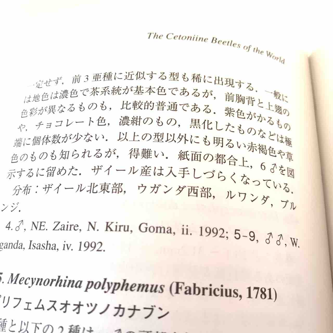 1997年のむし社激レア図鑑「世界のハナムグリ大図鑑 1997年のむし社激レア図鑑「世界のハナムグリ大図鑑