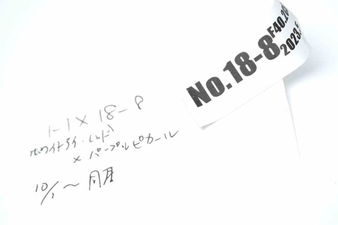 DSC08077