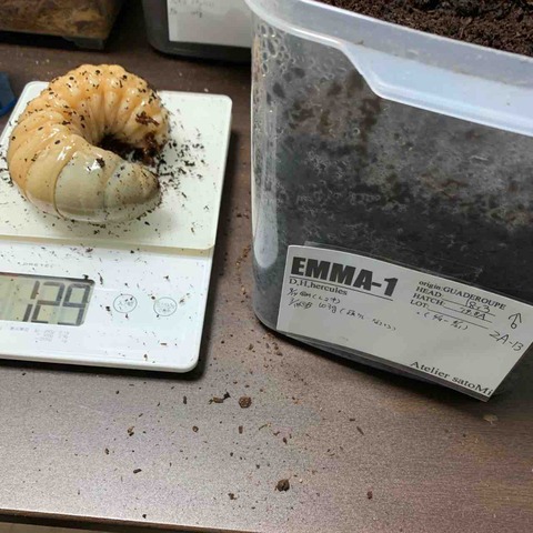 FullSizeRender