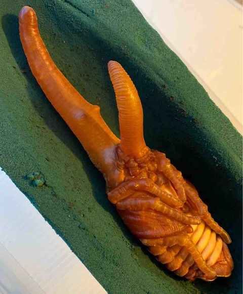 FullSizeRender