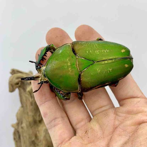 FullSizeRender