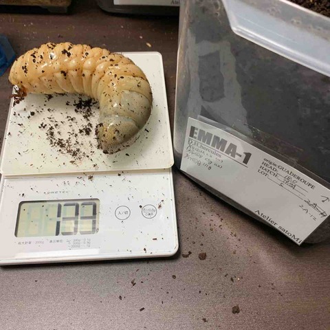 FullSizeRender