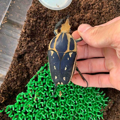 IMG_5699