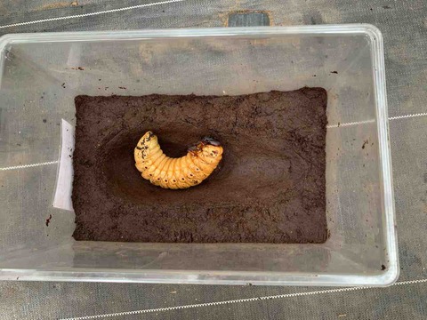 FullSizeRender