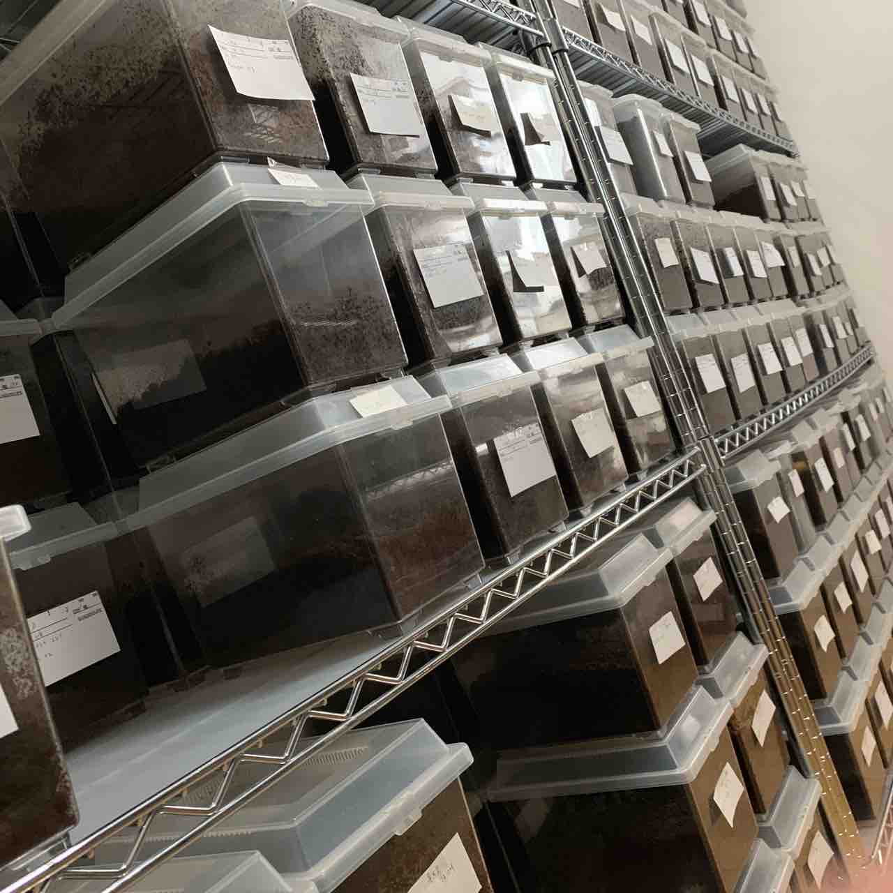 飼育引退品】乗用車でお届けします！飼育ケースパン屋さん型穴開け済み