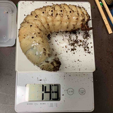 FullSizeRender