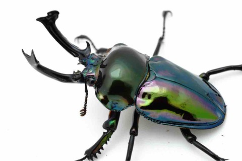 DSC01206