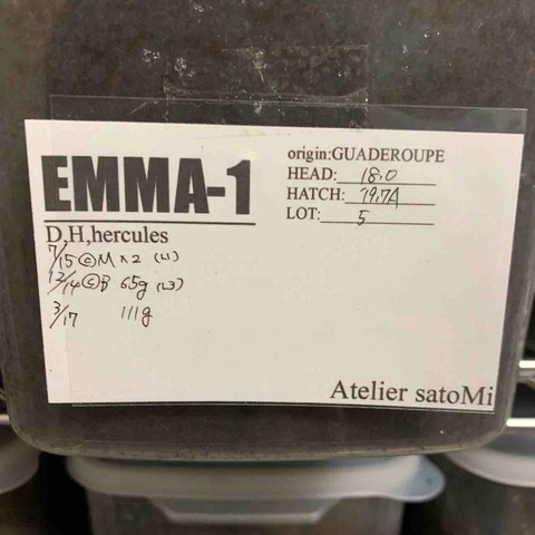 FullSizeRender