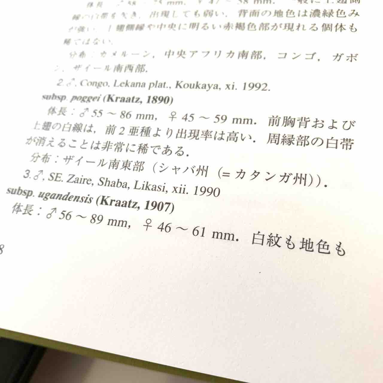 1997年のむし社激レア図鑑「世界のハナムグリ大図鑑 1997年のむし社激レア図鑑「世界のハナムグリ大図鑑