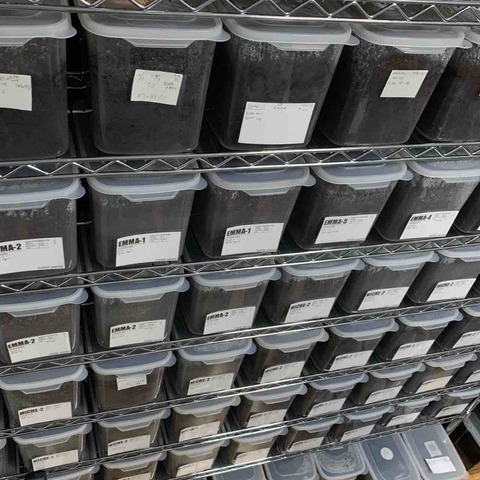 【飼育引退品】乗用車でお届けします！飼育ケースパン屋さん型穴開け済み　430個 飼育引退品】乗用車でお届けします！飼育ケースパン屋さん型穴開け済み