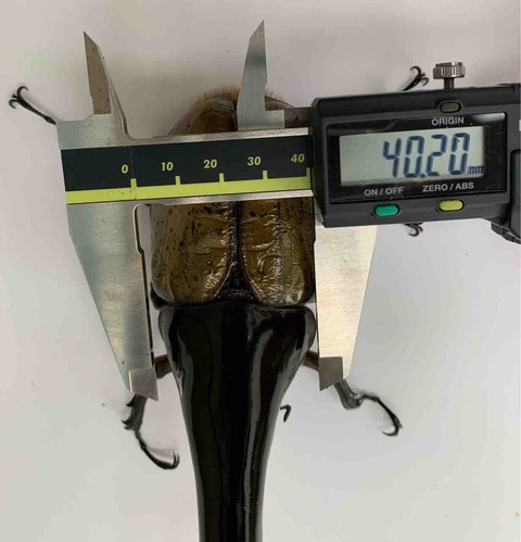 FullSizeRender