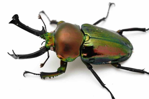 DSC00897