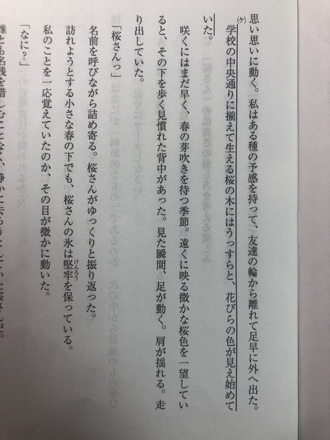 adachi_1