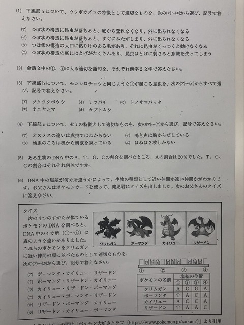 pokemon_2