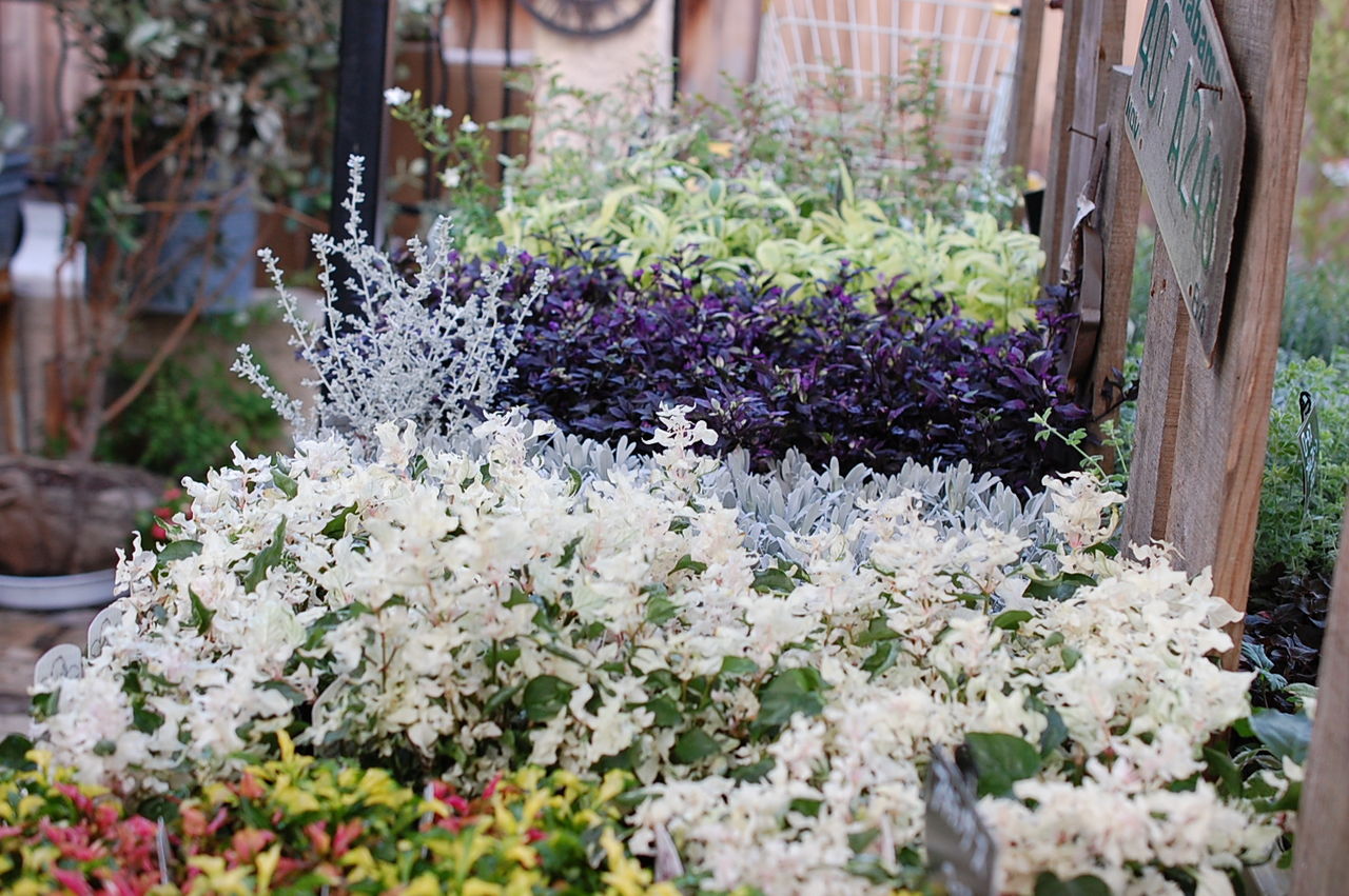 リルシュルのお庭 リルシュルラリング スタッフブログ