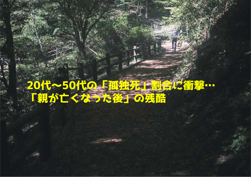 A4サイズぴったり_01