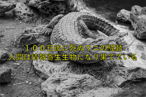 100日後に死ぬワニの騒動 人間は情報寄生生物になり果てている 介護徒然草
