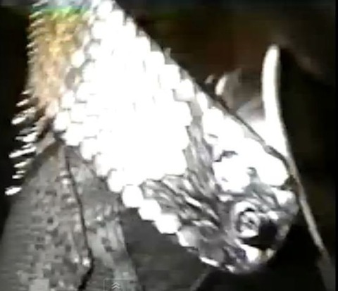 2016-2-6-3