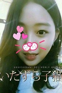 いたずら子猫プリティー