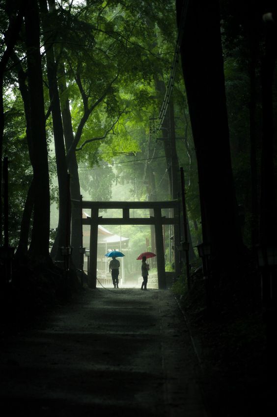 雨の神社って魅力的やな 土地ちゃんねる W