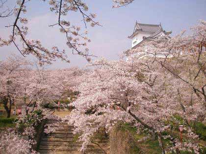 tsuyama