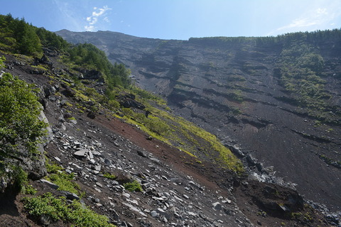 osawa