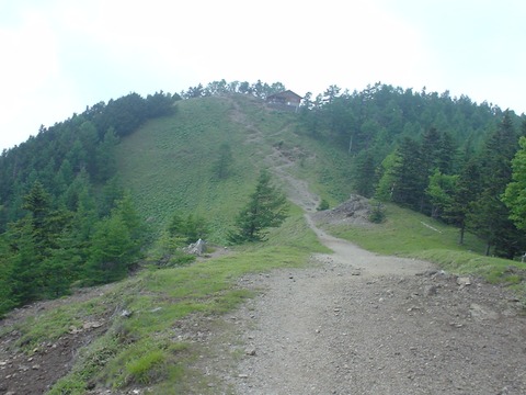 kumotori