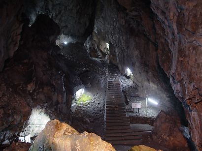 nipparashonyu