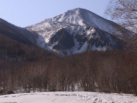 bandai