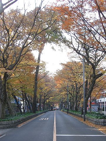 keyaki