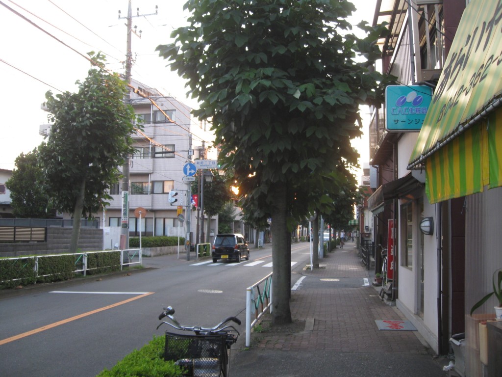 澤穂希選手記念垂れ幕 横断幕をめぐる 11 08 10 トイレ探索日記 By 東府中の住人 澤穂希選手記念垂れ幕 横断幕をめぐる 11 08 10 トイレ探索日記 By 東府中の住人