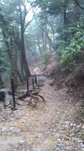 鞍馬山-1