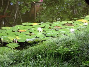 IMG_0436