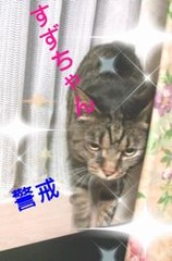 20120728230732