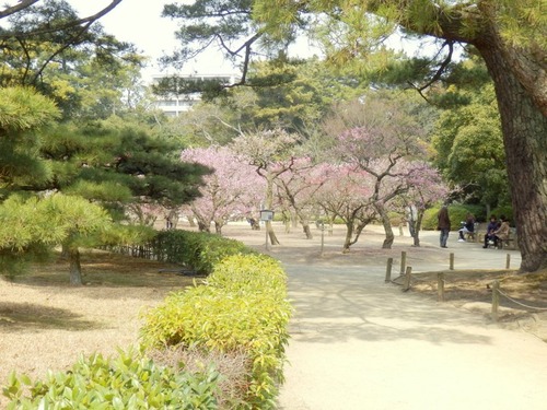 P3050019