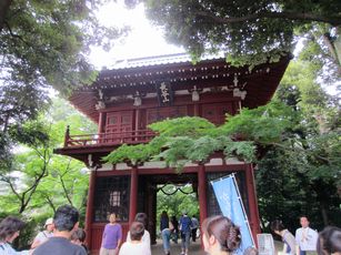 IMG_0329