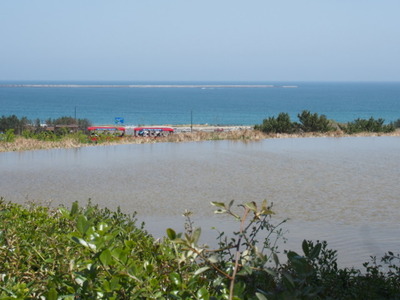 1-P5010096