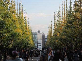 IMG_0884
