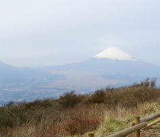 箱根スカイライン富士山