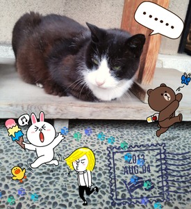 2013-08-04-16-31-24_deco