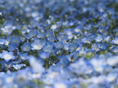 1-P5010017