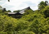 東福寺
