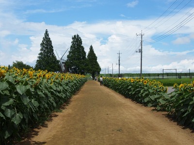 P8020107