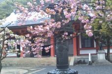 鞍馬寺本殿