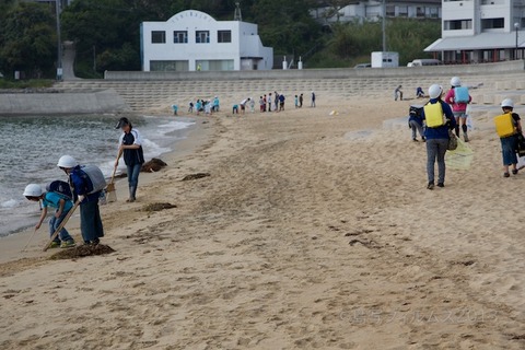 ウミガメ隊_篠島小学校_2013-05-15 07-48-18