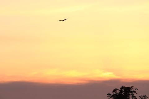 島写＿松島の夕日2011-03-05 17-46-48